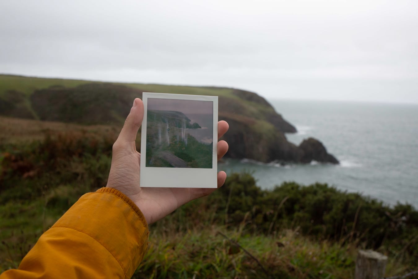 St David's polaroid